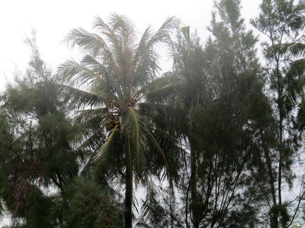 Coral Queen Inn Hulhumale Luaran gambar